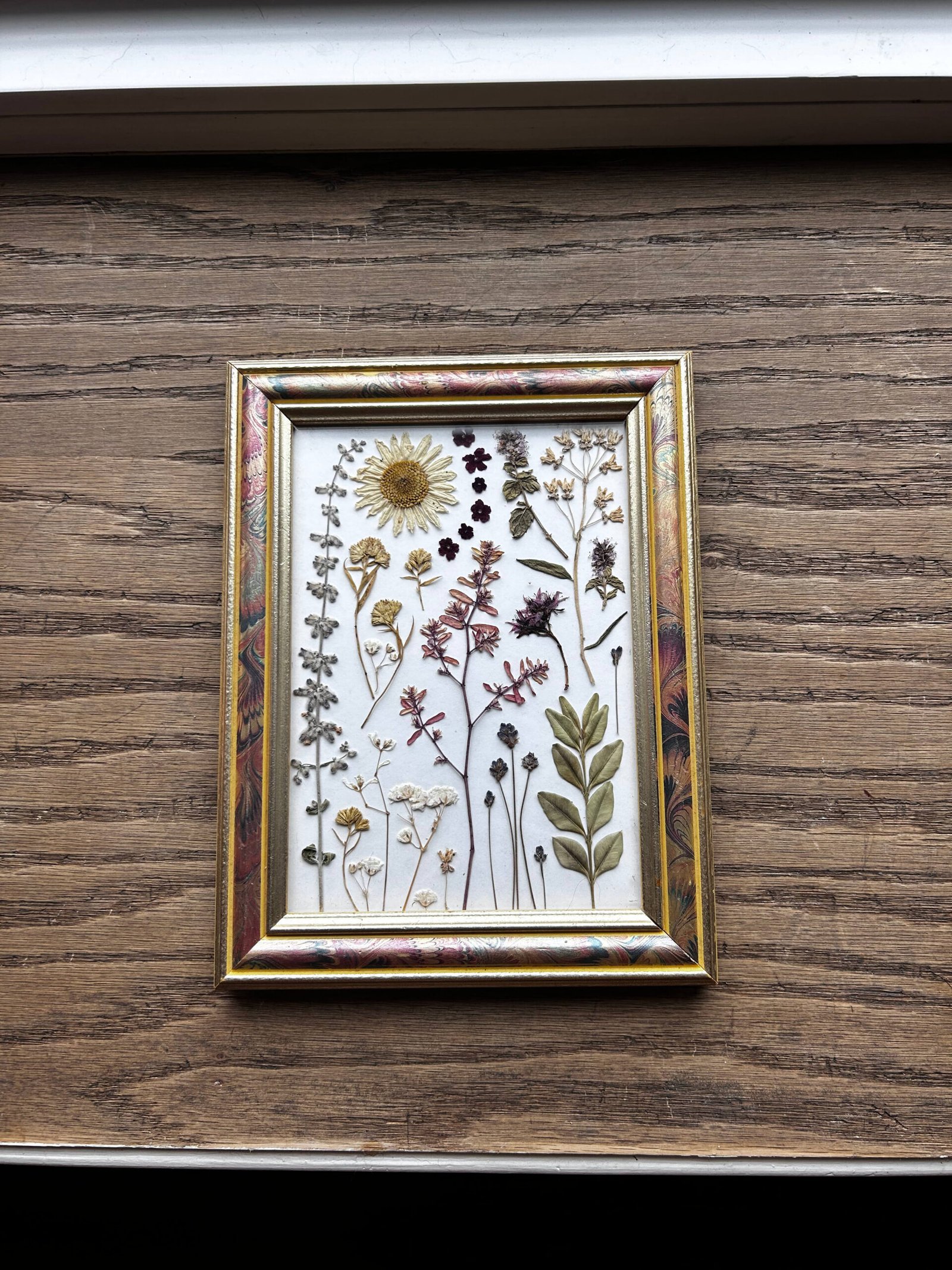 Standard Frame | Multi-Color | Rectangle | #03183 - Image 2